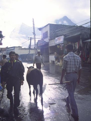 07-joshimath_po_deszczu.jpg