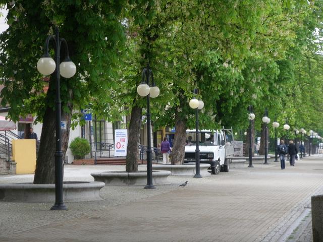 12-aleja_kasztanowa.jpg