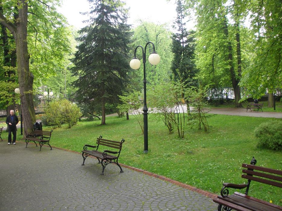 24-aleja_w_parku_w_sanatorium_wielka_pieniawa-polanica_zdroj.jpg