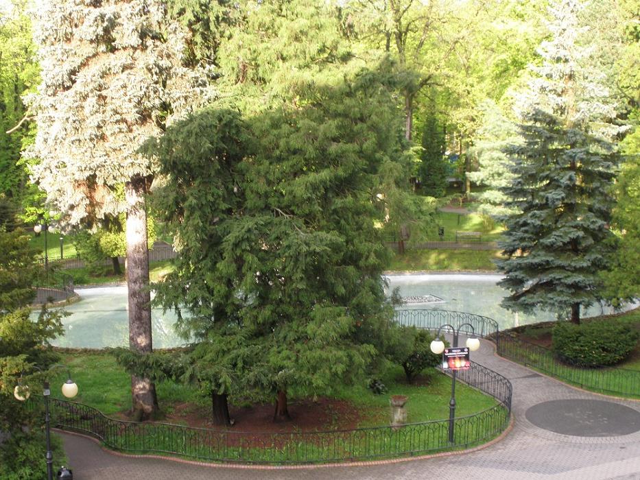 28-widok_z_okna_na_fontanne_kolorowa_w_wielka_pieniawie.jpg