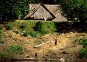 10-osada_w_dzungli