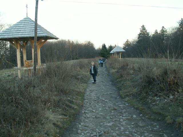33-droga_krzyzowa_na_szlaku_ze_sw_krzyza_do_nowej_slupi.jpg