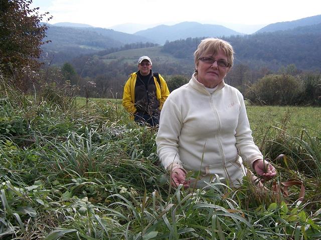 20-buszujemy_w_trawie_-_autorzy_zdjec-danuta_i_jurek.jpg