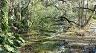 11-odnoga_rainbow_river_w_parku_w_dunnellon