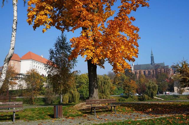 12-widok_na_miasto_od_strony_wisly-10-17-2017.jpg