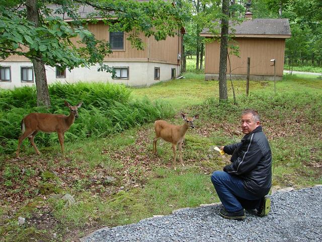 13-wojtek_probuje_przekupic_sarenki.jpg