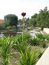 botanic_garden_cranbourne-2