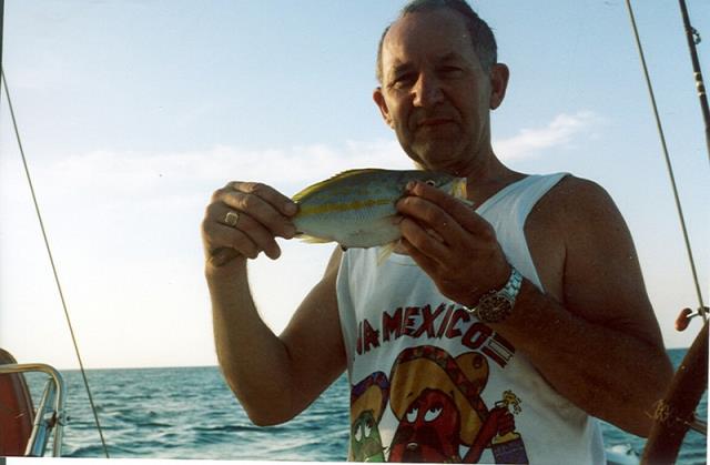 17-yellowtail_snapper_z_bahamas.jpg