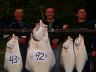 68-halibut-alaska-7-25-2006-92_lbs-64_inch-jozek_krek