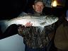 14-30_inch-_moj_pierwszy__striped_bass_na_tym_rejsie-10-23-2004