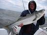 47-wojtek_i_jego_striped_bass-5-13-2013