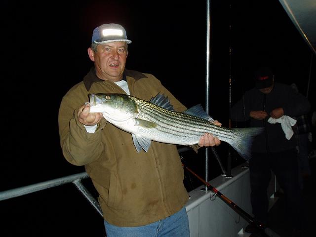 11-pierwszy_striped_bass_wojtka-z_powrotem_do_wody-10-23-2004.jpg