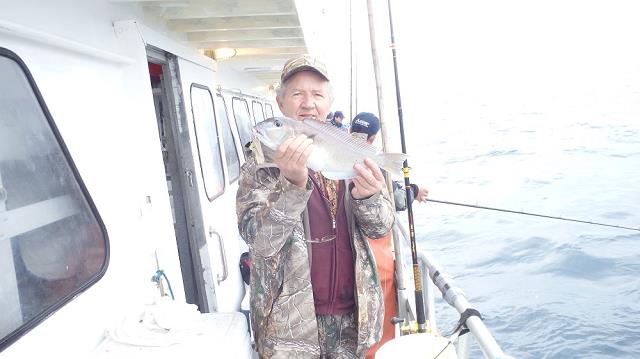 17-jacek_z_blueline_tilefish.jpg
