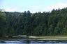 69-ujscie_rzeczki_do_lower_saranac_lake-wrzesien_2005