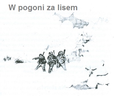 W pogoni za lisem