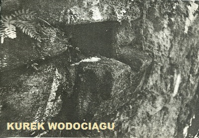 Kurek wodociagu