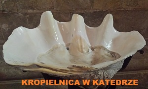 Kropielnica w katedrze