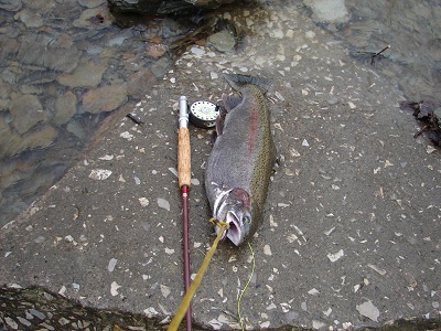 Teczak Tadeusza - 5 lbs-23-inch z Twelve Miles Creek w PA-3-16-2008.JPG