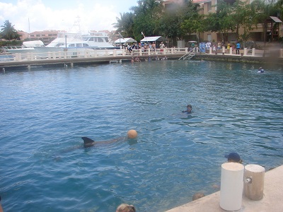 Pokazy delfinow ogladane po powrocie z wedkowania-Meksyk 2011