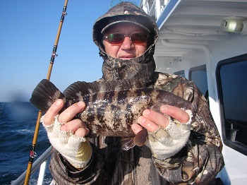 utor i jego 17.5 inch tautog