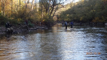 Eighteen Mile Creek w stanie New York - miejsce wedkowania