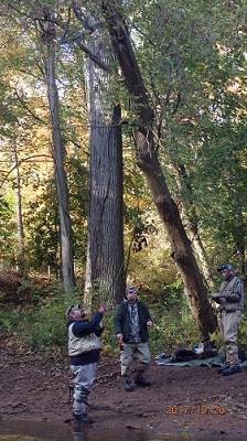 Wedkarski pech na Eighteen Mile Creek