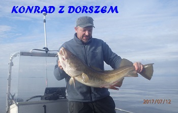 13-Piekny okaz dorsza -Konrad