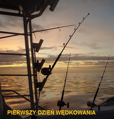 Pierwszy dzien