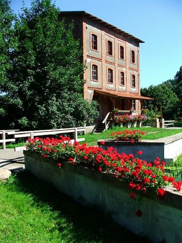 04-stary_mlyn_na_terenie_osrodka_wypoczynkowego_-_guzowy_mlyn.jpg