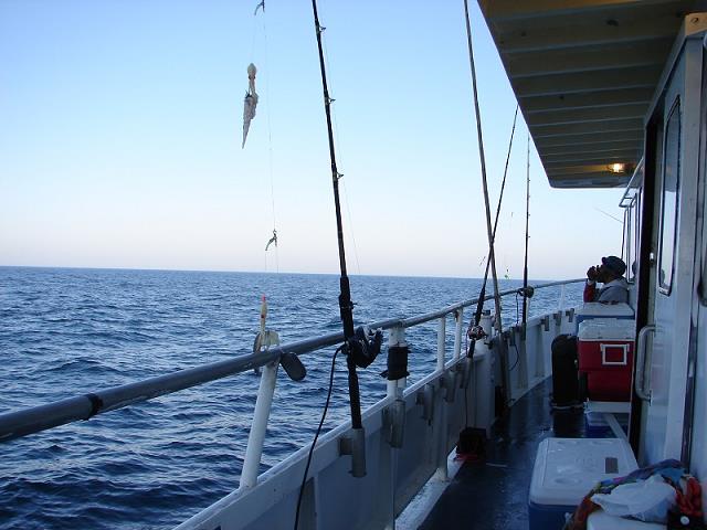 04-zestaw_na_tilefish.jpg